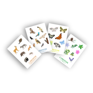 cartes luberon lot de 4