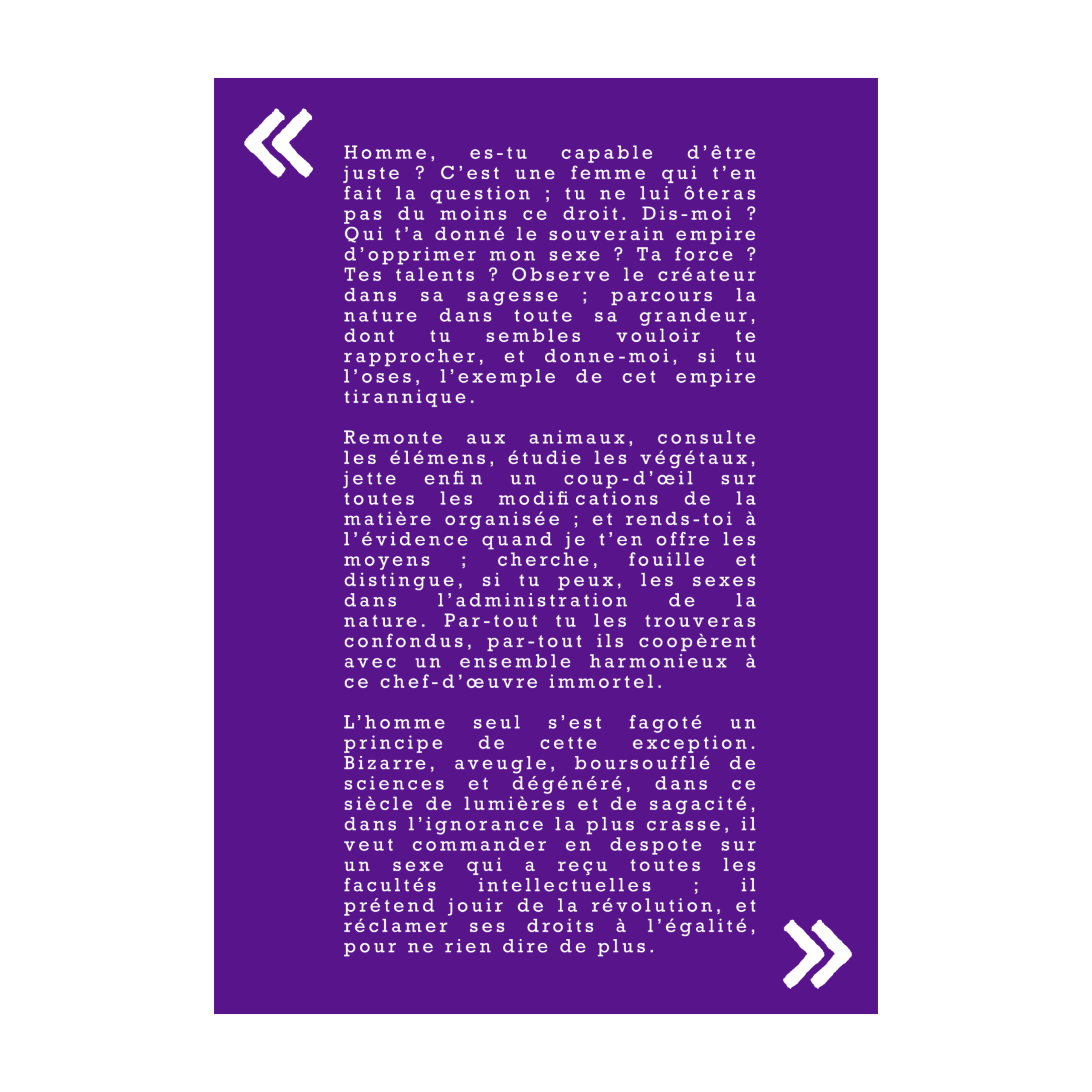 Zine Déclaration des Droits de la Femme et de la Citoyenne, Olympe de Gouges – Image 3